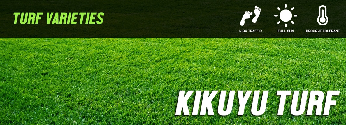 Kikuyu Turf - Lawn Supplies